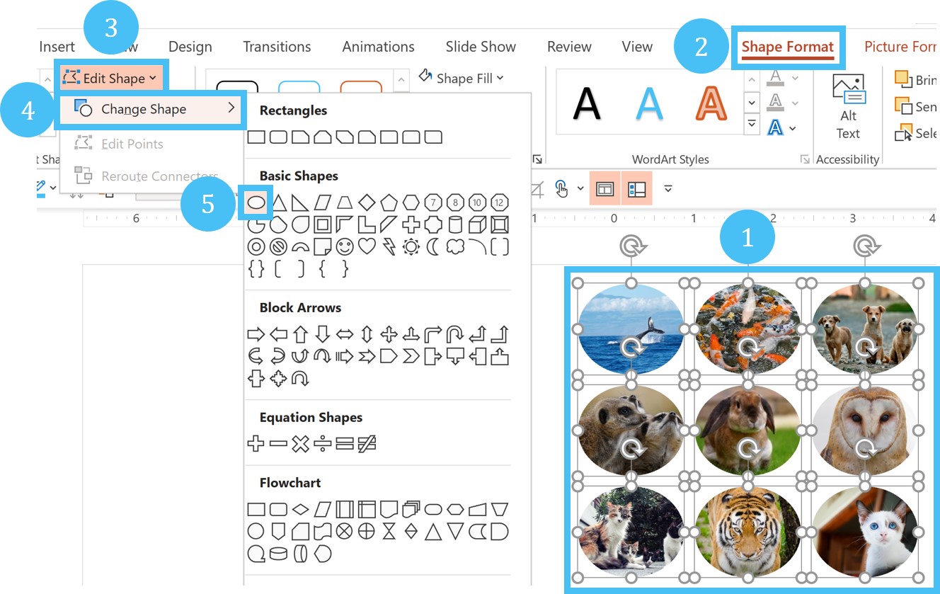 Cropping Powerpoint Crop Images in PowerPoint | Power Cropping