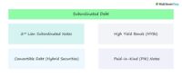 Subordinated Debt | Financing Definition + Characteristics