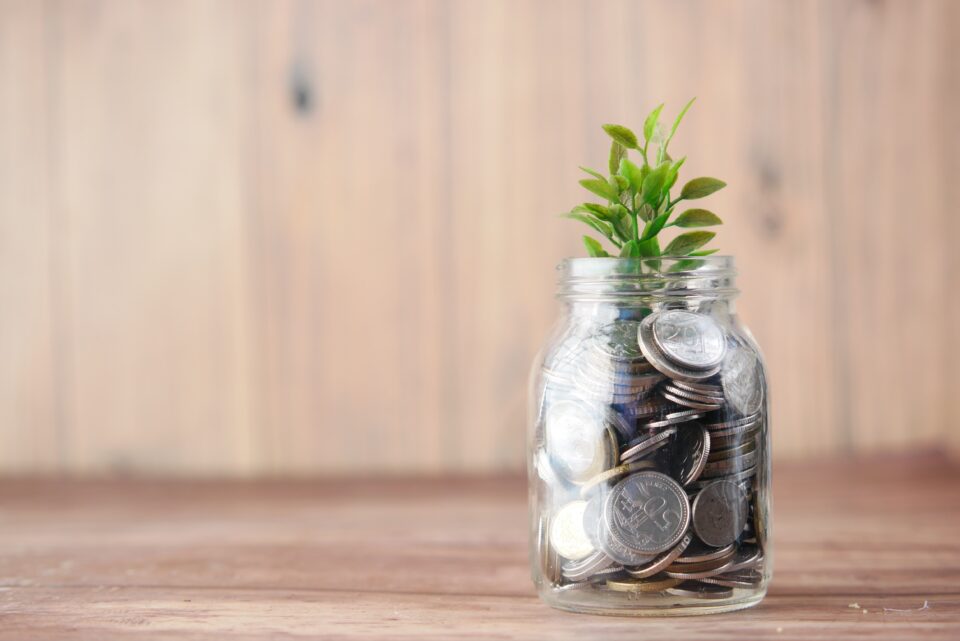 PIK Interest Formula (Paid-in-Kind)